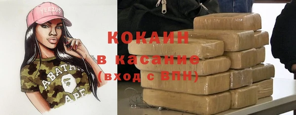 соль ск Абаза